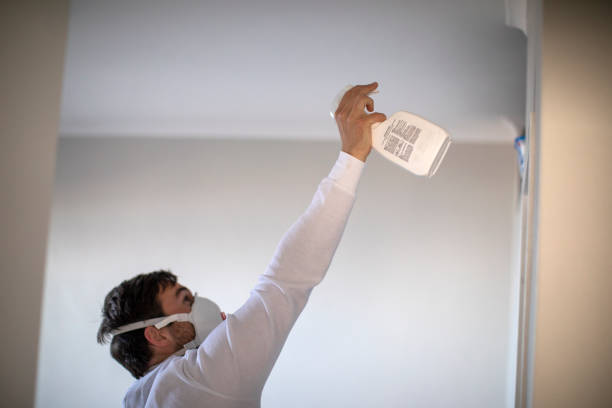 Best Mold Removal Near Me  in Sarcoxie, MO