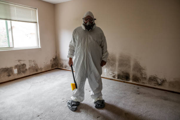 Best Toxic Mold Removal  in Sarcoxie, MO